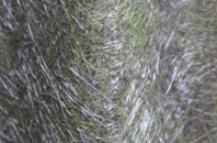 Hawkedon fibreglass roof work
